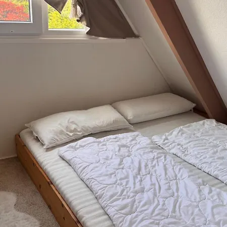 Gemuetliches In Der Eifel Mit Pool, Tennisplatz, Minigolf Und Nahem Blankenheim